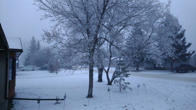 This image has been removed. For security reasons, only images from the local domain are allowed. Image removed.