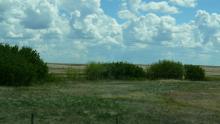 Scenery on the road to Saskatoon